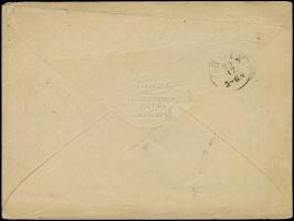 1 Ngr. rosa, 2 Einzelwerte mit DKr. Leipzig 30 DEC 64 auf dekorativem 'Telegramm' der "Priviligirten Telegraphen-Station des 