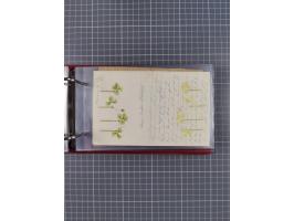 1866/1960 (ca.), interessanter Sammlungsposten inkl. sehr viel Dt. Seepost, Anlandungsstempeln, frühe Schiffspost, kleine Sam