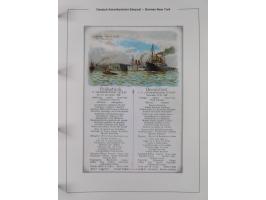 1893/1941, Sammlung “DASP BREMEN-NEW YORK I-X”, Flaggenstempel, &nbsp;“DSP LINIE BREMEN-NEW YORK a-g” und “DASP D. BREMEN” mi