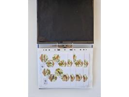 2000/15, postfrische und gestempelte, in den Hauptnummern je überkomplette Sammlung, dabei Marken je einzeln und in Viererblo