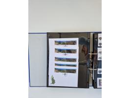 2000/15, postfrische und gestempelte, in den Hauptnummern je überkomplette Sammlung, dabei Marken je einzeln und in Viererblo