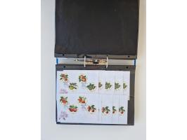 2000/15, postfrische und gestempelte, in den Hauptnummern je überkomplette Sammlung, dabei Marken je einzeln und in Viererblo