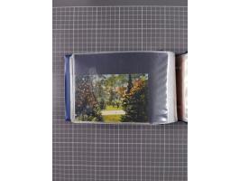 GLEIWITZ, rund 175 Karten, dabei 'Gruß aus', Lithos, Straßenansichten, etc.