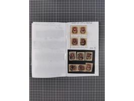 1918/20, Ukraine Tridents, over 100 unused and used stamps, including some multiples, with a fine choice of local overprints 