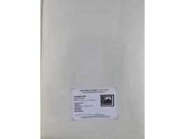 1849/1959, meist ungebrauchte und gestempelte Sammlung ab Altdeutschland mit Deutsches Reich, Deutsche Kolonien, Nebengebiete