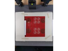 2011/20, postfrische Partie mit 10 unzerteilten Druckbogen “Tierkreiszeichen”, ferner ein Druckbogen aus Kanada Block Mi.-Nr.