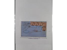 REICHSPOST-VORLÄUFER, ausstellungsmäßig aufgezogene Spezialsammlung von rund 120 Belegen und einigen losen Marken, Einheiten 