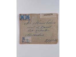 1918/62, Collection on 17 album leaves including British field post Natal South Africa, Palestine censorship reg. 1918 to Egy