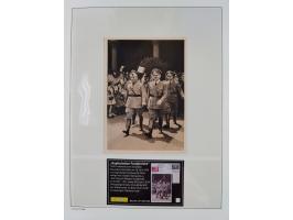 1872/45, meist postfrische und teils gestempelte reichhaltige Material-Sammlung inkl. Dienstmarken, dabei viele Varianten, Fa