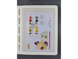 1949/2024, umfangreiche postfrische und zusätzlich teils gestempelte Sammlung in über 100 Vordruckalben und hunderten losen B