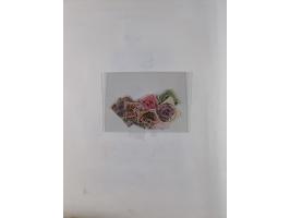 1872/1945, ungebrauchte/postfrische und gestempelte Sammlung, dabei u.a. Mi.-Nr. Bl. 1 postfrisch (Unterrand etwas geknickt) 