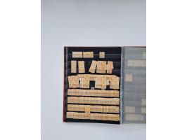 1865-1930, extensive unused/used collection with strength in Duloz issues, including many complete sets and better issues, in