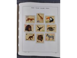 1918/89 (ca.), mint never hinged/unused and mostly used collection with duplicates, including Polish areas, Schlesien, etc., 