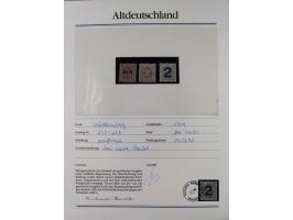 1981/1920, postfrische Sammlung aus Abobezug, dabei einige bessere Ausgaben Bayern, Bergedorf und Thurn und Taxis, gute Erhal