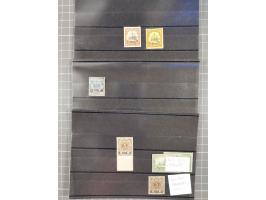 EIGENE AUSGABEN: 1893/1916, postfrische,ungebrauchte und gestempelte Sammlung mit Marken, Einheiten, Briefstücken und rund 30