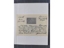 BAR- UND VORAUSFRANKIERUNGEN: spezialisierte Sammlung von 22 Belegen und einige Ausschnitten; verschiedene Typen und Besonder