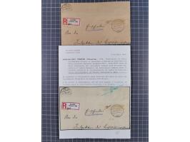 1880/1917, kleiner Sammlungsbestand mit 17 R-Briefen und einer Briefvorderseite mit Mi.-Nr. V42 im Paar und R-Zettel “CONSTAN