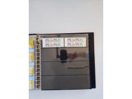 1960/2000, umfangreiche Sammlung der postfrischen Markenheftchen von Bund/Berlin in 19 SAFE-Ringbindern, sehr spezialisiert u