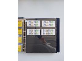 1960/2000, umfangreiche Sammlung der postfrischen Markenheftchen von Bund/Berlin in 19 SAFE-Ringbindern, sehr spezialisiert u