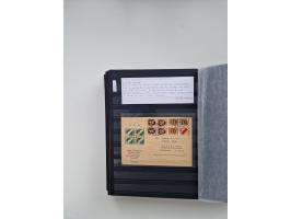 SIGMARINGEN: 1823/2000 (ca.), Heimatssammlung &nbsp;in 14 Steckbüchern, mit einigen hundert Briefen, Karten und Ganzsachen (v