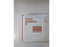 NEUDRUCKE: BERLINER/LEIPZIGER/HAMBURGER Neudrucke, interessante Forschungssammlung in vier dicken Steckalben, alles genau bes