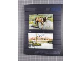 1898/1906(ca.), Briefalbum mit 26 Briefen, viele Ansichtskarten und Ganzsachen, dabei etliche bessere Belege u.a. Seepostbrie