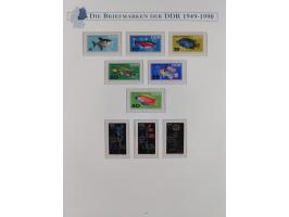 1949/67, in den Hauptnummern kpl. postfrische Sammlung, dabei Mi.-Nr. 327-341 kpl. signiert (BPP/VP), sauber im Vordruckalbum