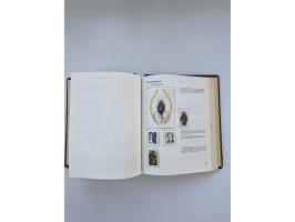 1849/1989, meist gestempelte und teils ungebrauchte Sammlung in sieben “Sprechendes Behrens” Alben, ab Altdeutschland, Koloni