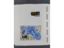 1850/2011, vorwiegend gestempelte Sammlung mit einigen Briefen, dabei Block 1 auf R-Brief, &nbsp;Block 2 mit Ersttagsstempel,