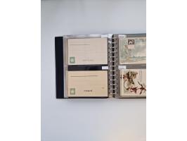 PRIVATGANZSACHEN: 1895/1912 (ca.), überwiegend reichhaltige ungebrauchte/gestempelte Sammlung von Privatpostkarten und Lithos