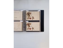 PRIVATGANZSACHEN: 1895/1912 (ca.), überwiegend reichhaltige ungebrauchte/gestempelte Sammlung von Privatpostkarten und Lithos