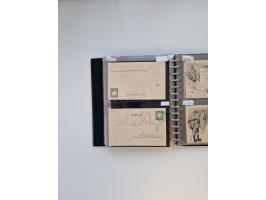 PRIVATGANZSACHEN: 1895/1912 (ca.), überwiegend reichhaltige ungebrauchte/gestempelte Sammlung von Privatpostkarten und Lithos