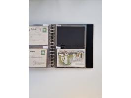 PRIVATGANZSACHEN: 1895/1912 (ca.), überwiegend reichhaltige ungebrauchte/gestempelte Sammlung von Privatpostkarten und Lithos