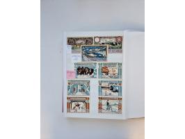 Notgeld-Serienscheine, saubere Sammlung in 16 meist dicken Steckalben, sauber nach Orten und Serien sortiert, überschlägig et