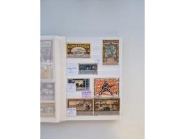 Notgeld-Serienscheine, saubere Sammlung in 16 meist dicken Steckalben, sauber nach Orten und Serien sortiert, überschlägig et