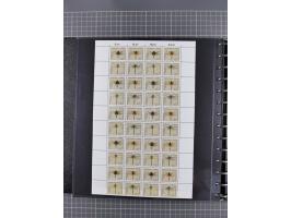 1949/92, postfrische, in den Hauptnummern augenscheinlich komplette Sammlung, dazu einige Markenheftchen etc., meist gute Erh