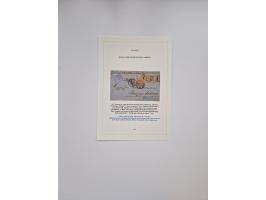 1812/1936, 58 covers and cards, some better frankings and usages throughout, noted a fine section of French Colonies and mari