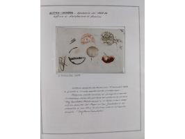 ÖSTERREICH-UNGARN: 1806/1918, über 70 Briefe und Dokumente, meist Desinfektions-Post mit Schwerpunkt von 1806 bis 1866, dabei