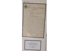 1683/1868, 'Impoststempel zur Steuerbegleichung auf vorgefertigtem Stempelpapier', einzigartige Ausstellungssammlung mit über