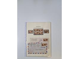 1904/78, very interesting and substantial unused and used collection with covers, starting with MI.-Nr. 1-3 unused and on cov