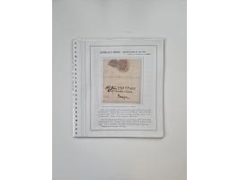 ALLE WELT: 1630/17, Ausstellungssammlung "Desinfizierte Post während der Pest-, Gelbfieber- und Choleraepidemien" mit 81 Brie