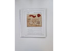 ALLE WELT: 1630/17, Ausstellungssammlung "Desinfizierte Post während der Pest-, Gelbfieber- und Choleraepidemien" mit 81 Brie