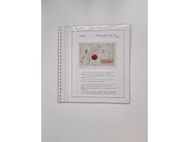 ALLE WELT: 1630/17, Ausstellungssammlung "Desinfizierte Post während der Pest-, Gelbfieber- und Choleraepidemien" mit 81 Brie