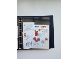 HERFORD: 1850/2011, interessante Partie ab Vorphila über etwas Preußen sowie Deutsches Reich ab Brustschild Drittes Reich, sp