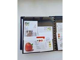 HERFORD: 1850/2011, interessante Partie ab Vorphila über etwas Preußen sowie Deutsches Reich ab Brustschild Drittes Reich, sp