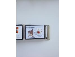 HERFORD: 1850/2011, interessante Partie ab Vorphila über etwas Preußen sowie Deutsches Reich ab Brustschild Drittes Reich, sp