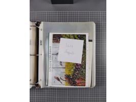 1851/2020, from 1912 to 2020 mint never hinged in the beginning somewhat incomplete and from 1974 onwards in the main catalog