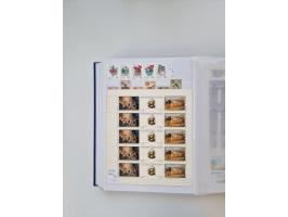 1858/1995, mint never hinged/unused and used collection, starting with Russia No. 2, from 1918 fairly advanced in the Michel 