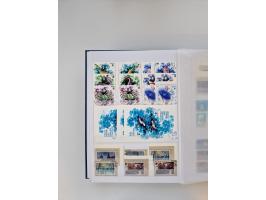 1858/1995, mint never hinged/unused and used collection, starting with Russia No. 2, from 1918 fairly advanced in the Michel 