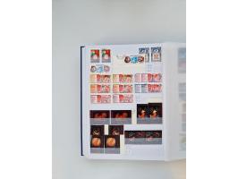 1858/1995, mint never hinged/unused and used collection, starting with Russia No. 2, from 1918 fairly advanced in the Michel 